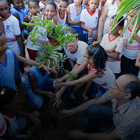 home-item-meio-ambiente